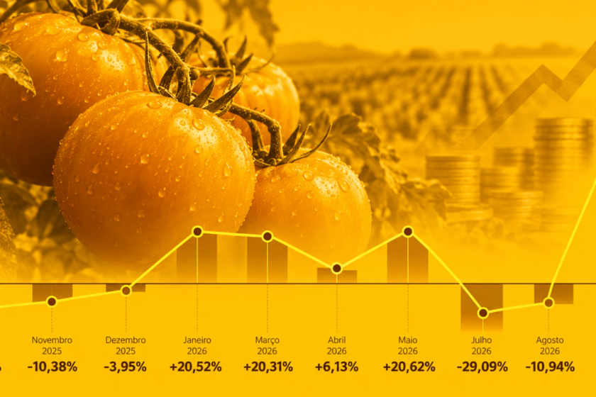 Infografico-Dourado-de-Precos-do-Tomate.png